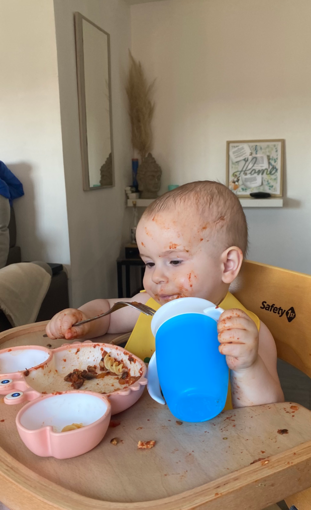 Libros y blogs sobre Baby Led Weaning (BLW) y alimentación complementaria -  Disfruti